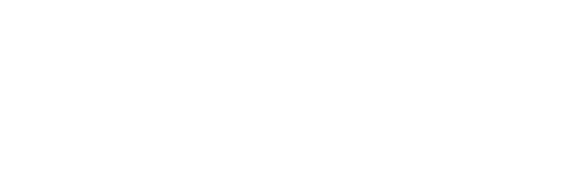RevGen Genius